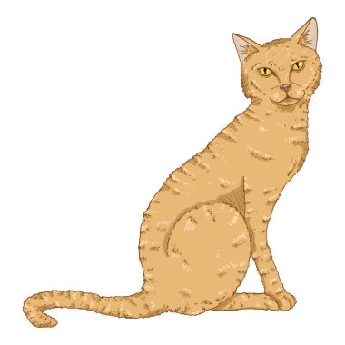 Oturan Kedi. Vektör Çizgi Roman Çizimi