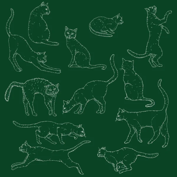 Ensemble vectoriel de croquis à la craie illustration de chats. Poses de félin dessinées à la main . — Image vectorielle