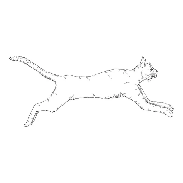 Running Cat. Vector Negro Boceto Felino Ilustración — Vector de stock