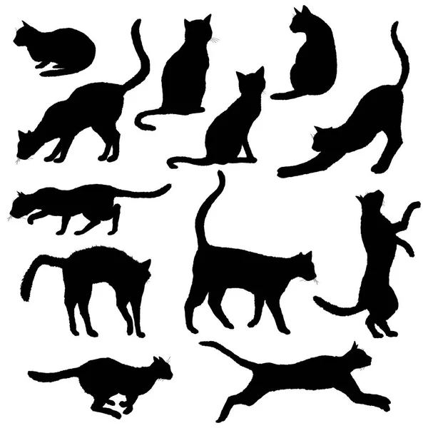 Vector Cats Silhouettes. Black Feline Outline Logos — Stock Vector