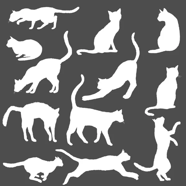 Silhuetas de gatos vetores. Logotipos de esboço de felino branco no fundo escuro Ilustração De Stock