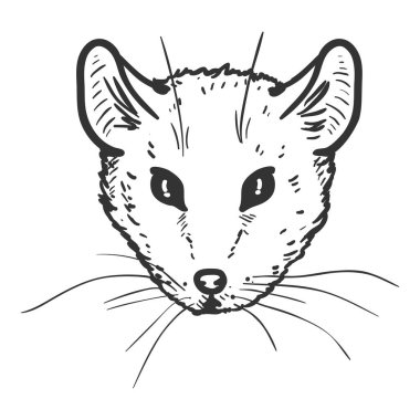 Vektör El Çizimi Fare Portresi