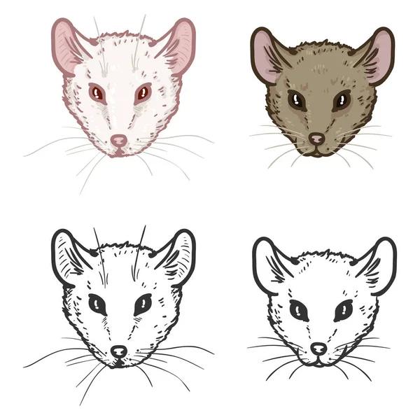 Vector Set of Mouses Portraits. — Stock Vector