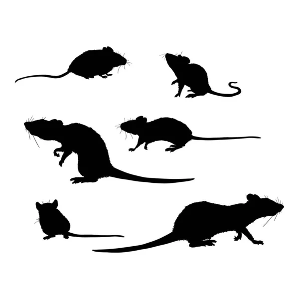 Vector Set of Rats and Mouses Black Silhouettes — Stock Vector