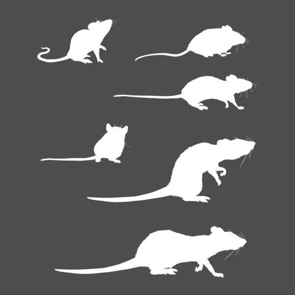 Vector Set of Rats and Mouses White Silhouettes — Stock Vector