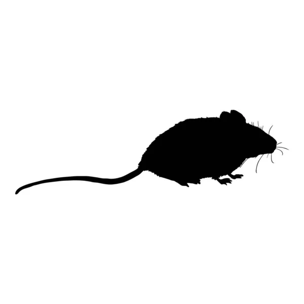 Vektor schwarze Silhouette der Maus — Stockvektor