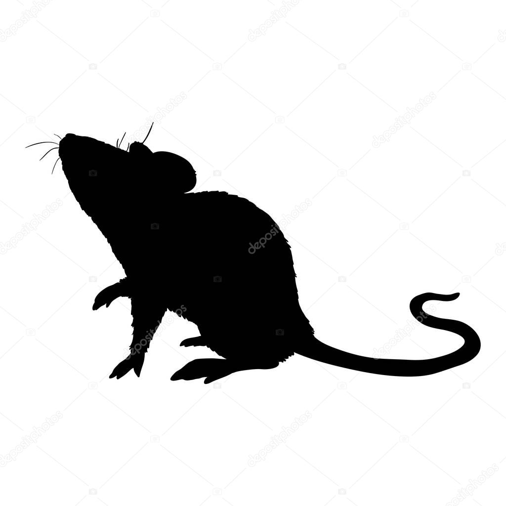 Vector Black Silhouette of Mouse