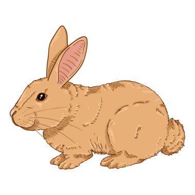 Vector Cartoon Small Brown Rabbit clipart