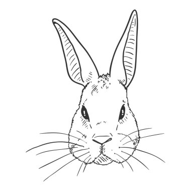 Free Free Bunny Head Svg Free 93 SVG PNG EPS DXF File