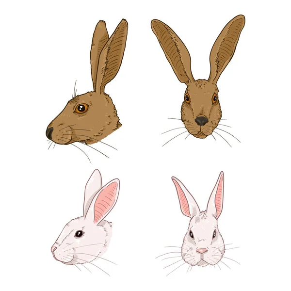 Vector Set Cartoon Rabbits Hares Heads — 스톡 벡터