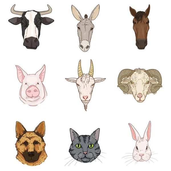 一套卡通农场动物头像的病媒集 — 图库矢量图片