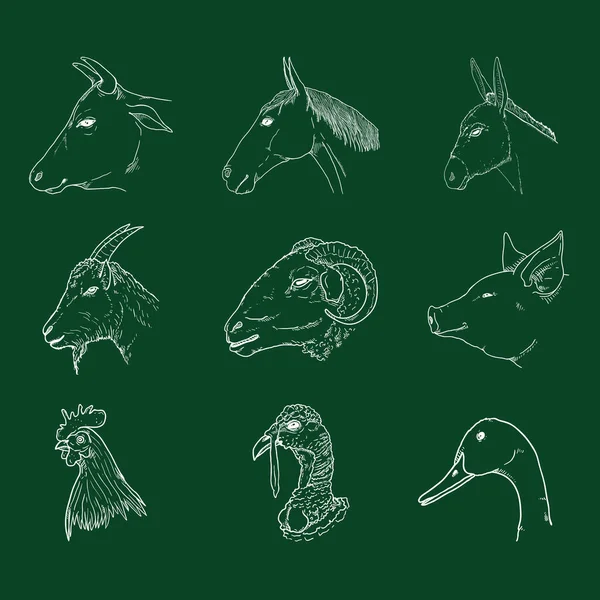 Chalk Sketch Çiftlik Hayvanları Kafaları Nın Vektör Seti Yan Görünüm — Stok Vektör