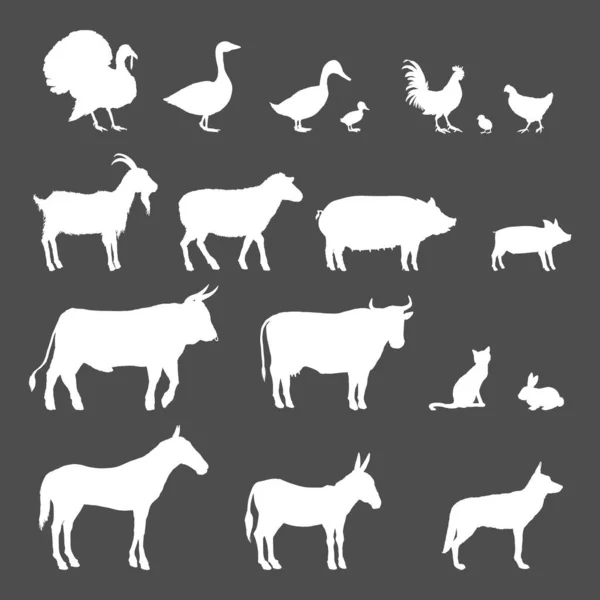 Vectorset Van Farm Animals Witte Silhouetten Verzameling Van Rustieke Huisdieren — Stockvector