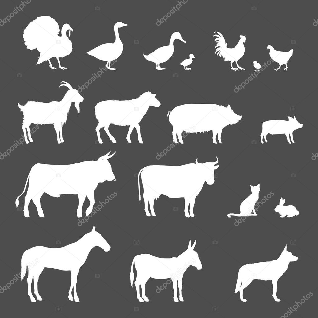 Vector Set of Farm Animals White Silhouettes. Collection of Rustic Pets