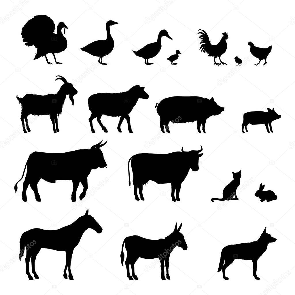 Vector Set of Farm Animals Silhouettes. Collection of Rustic Pets Black Icons