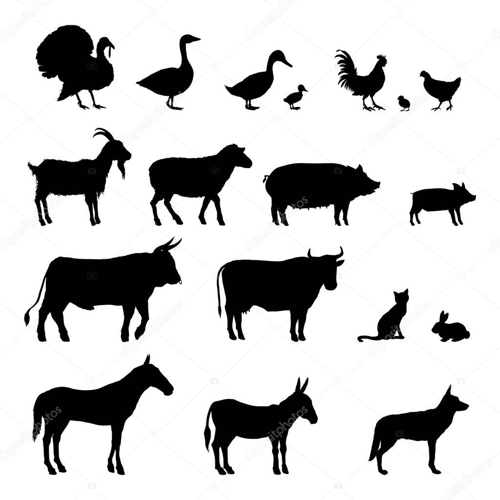 Vector Set of Farm Animals Silhouettes. Collection of Rustic Pets Black Icons