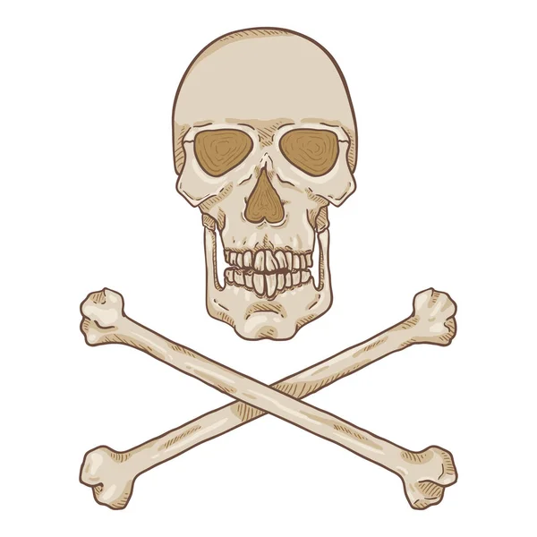 Vector Cartoon Skull Crossbones Illustration Simbolo Dei Pirati — Vettoriale Stock