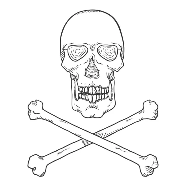 Vektör Sketch Skull Crossbones Kalem Korsanları Şareti — Stok Vektör