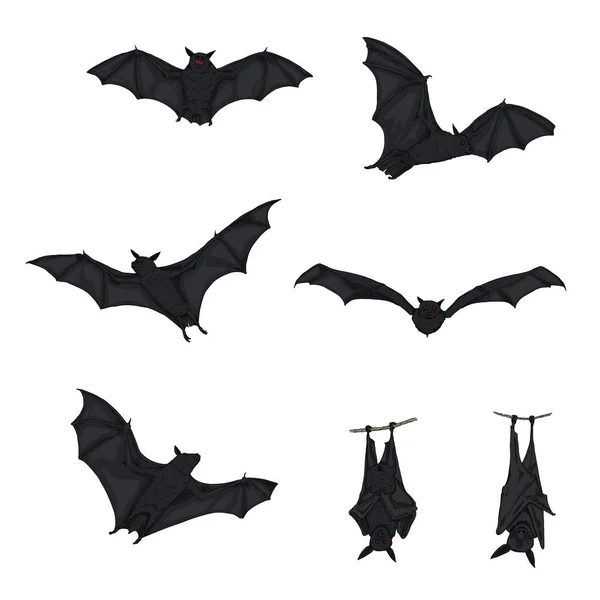 Vector Set Cartoon Black Bats Red Eyes Колекція Жахливих Створінь — стоковий вектор