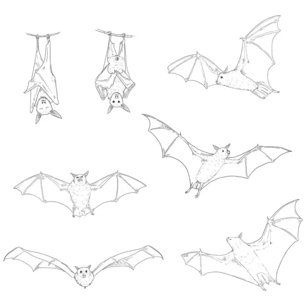 Vector Set Black Sketch Bats Horror Creatures Collection — Stock Vector