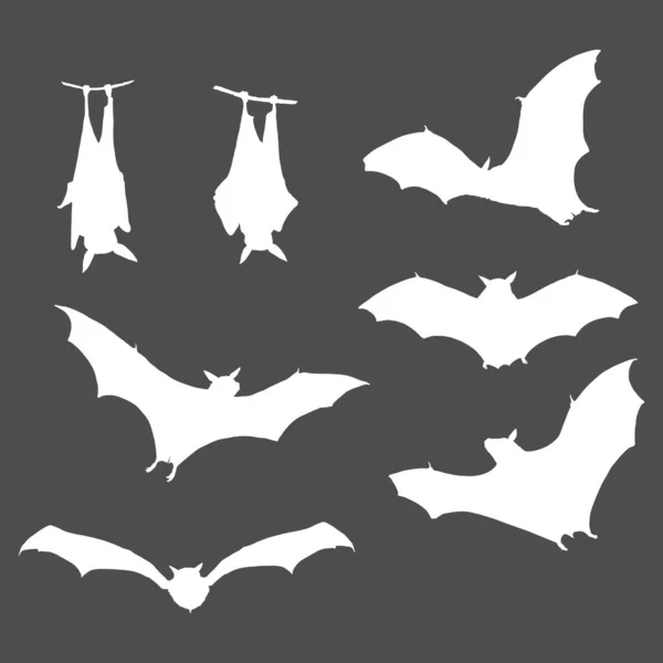 白色蝙蝠的一组矢量轮廓 万圣节装饰元素 — 图库矢量图片