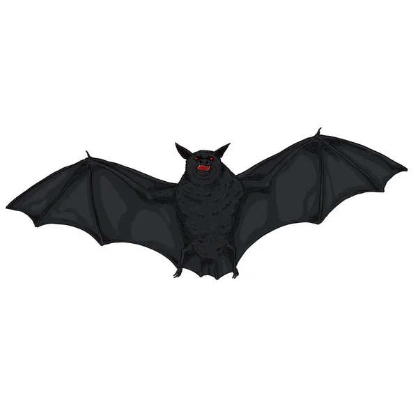 Vector Cartoon Flying Black Bat Illustration Front View — Stock Vector