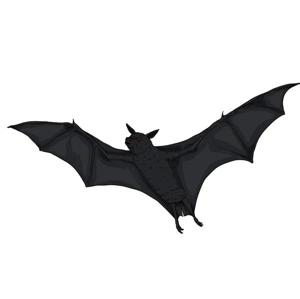 Vetor Desenhos Animados Voando Black Bat Ilustração —  Vetores de Stock