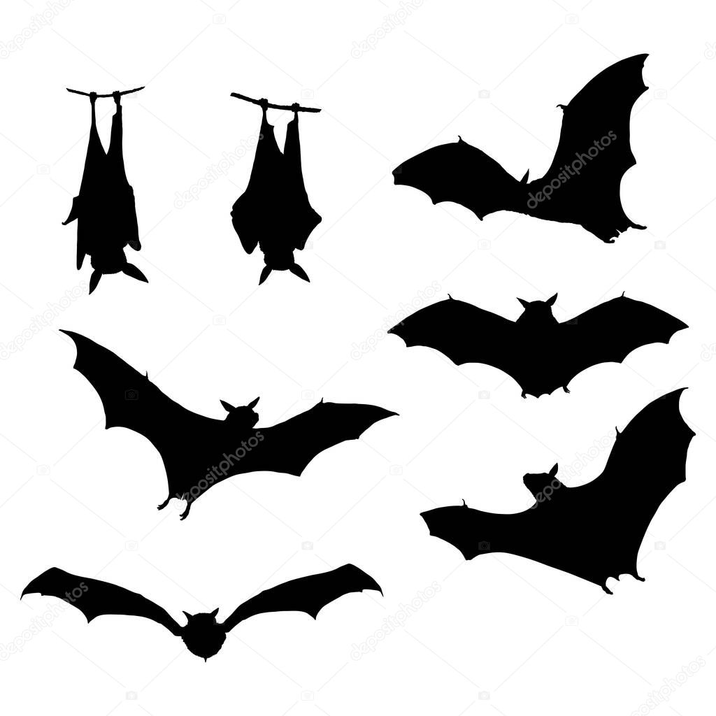 Vector Set of Black Bats Silhouettes. Halloween Decoration Elements.