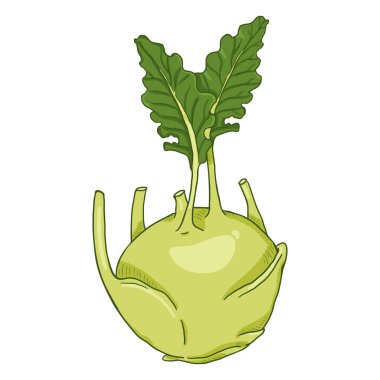Vektör Karikatür Kohlrabi Lahanası