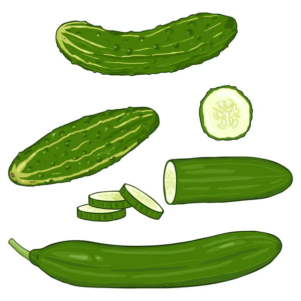 Vector Set Cartoon Cucumbers Whole Sliced — Stock Vector