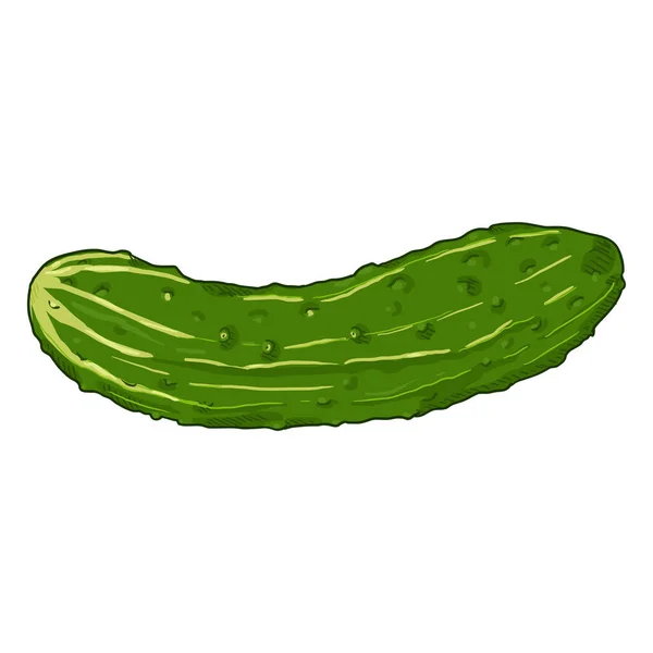 Vector Cartoon Green Cucumber — Stock Vector