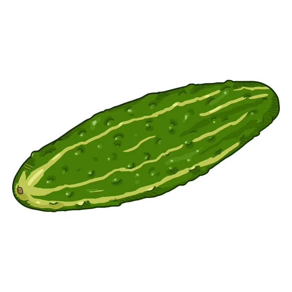 Vector Cartoon Green Cucumber — Stock Vector