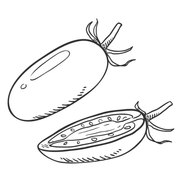 Vector Sketch Whole Half Cut Cherry Tomato — стоковий вектор