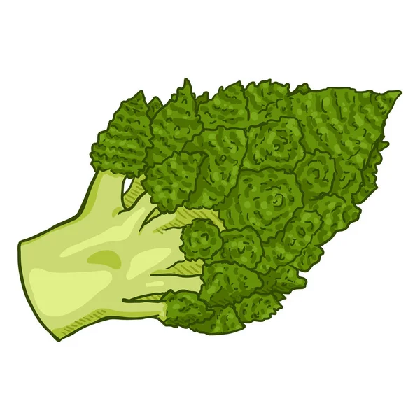 Vetor Dos Desenhos Animados Verde Romanesco Couve Flor —  Vetores de Stock