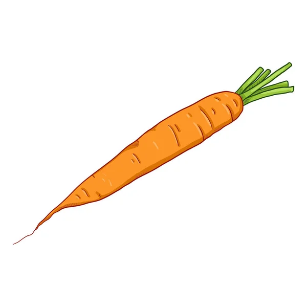 Vector Cartoon Orange Carrot — стоковий вектор
