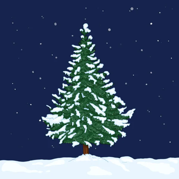 Vector Cartoon Evergreen Pine Tree Snowy Winter Night Evergreen Conifer — Stock Vector