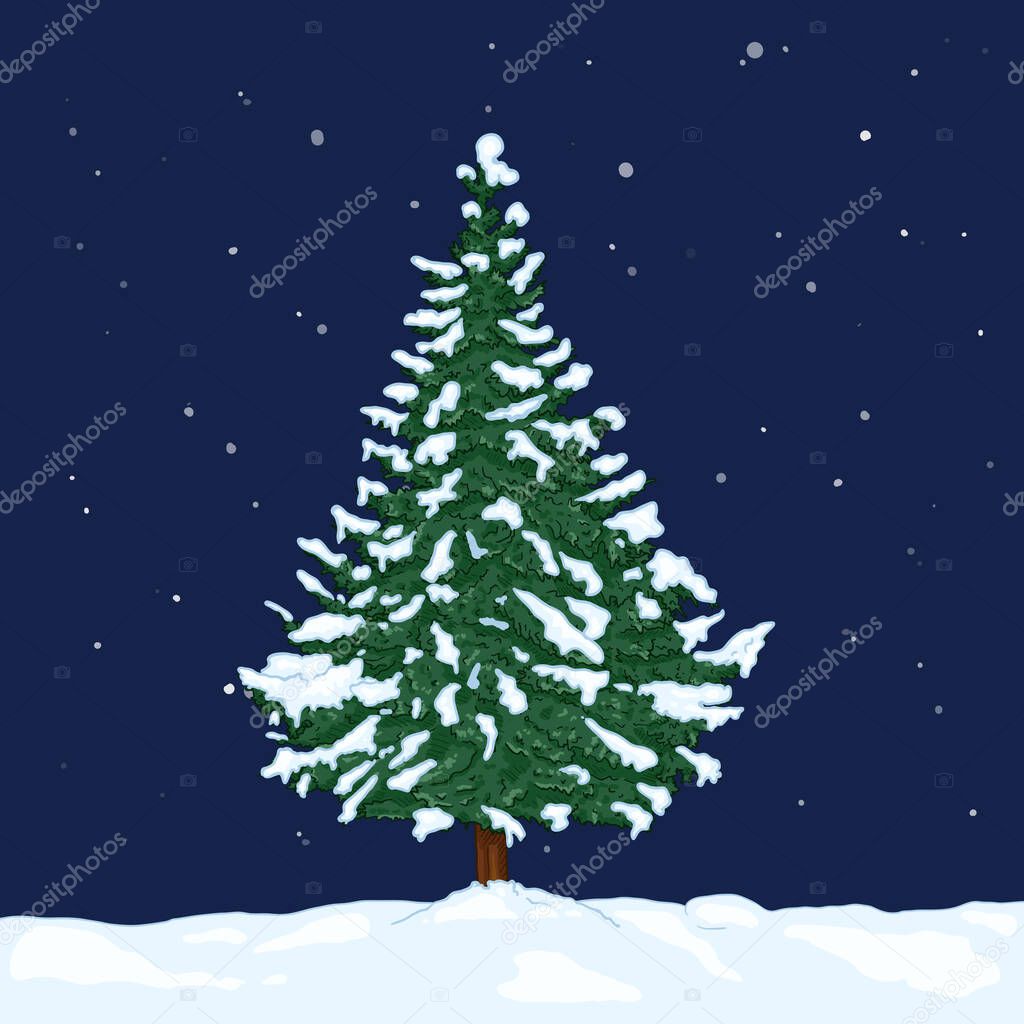 Vector Cartoon Evergreen Pine Tree in Snowy Winter Night. Evergreen Conifer Tree