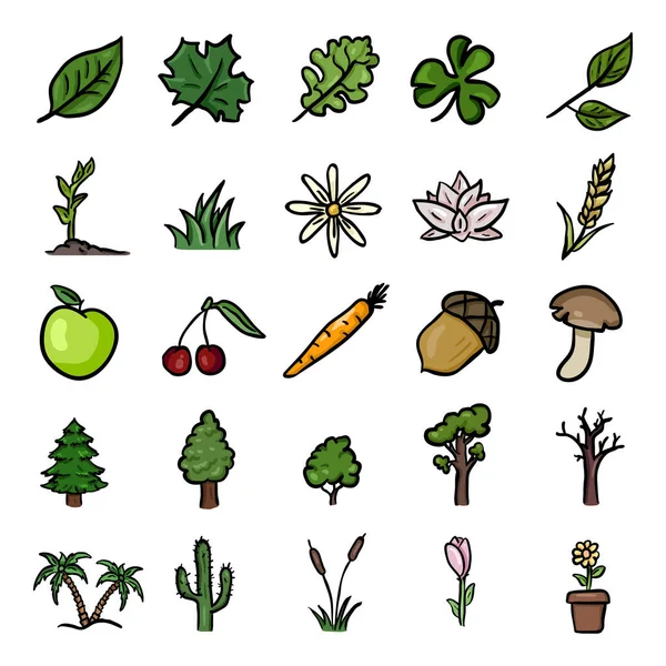 Ensemble Vectoriel Icônes Plantes Caniche Couleur — Image vectorielle