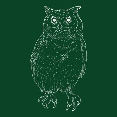 Oturan Baykuş Vektör Tebeşir Çizimi Çizimi