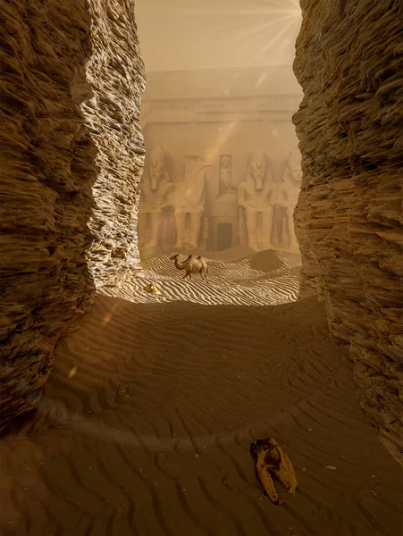 Eski Giza Yalnız Deve Yürüyüşü — Stok fotoğraf