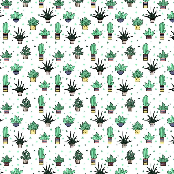 Pattern Cacti Succulents Colored Tulips Geometric Symbols — Stock Vector