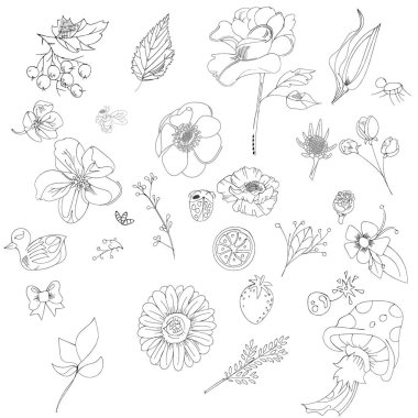 çizimler ve satır büyük kümesi doodles - elle çizilmiş tasarım öğeleri - izole çiçekler, yapraklar, otlar - dekorasyon baskılar, Etiketler, desen - vektör çizim.