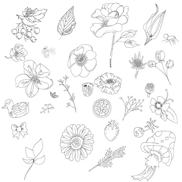 Grote verzameling schetsen en lijn doodles - hand getrokken ontwerpelementen - geïsoleerde bloemen, bladeren, kruiden - voor decoratie afdrukken, labels, patronen - vectorillustratie. — Stockvector