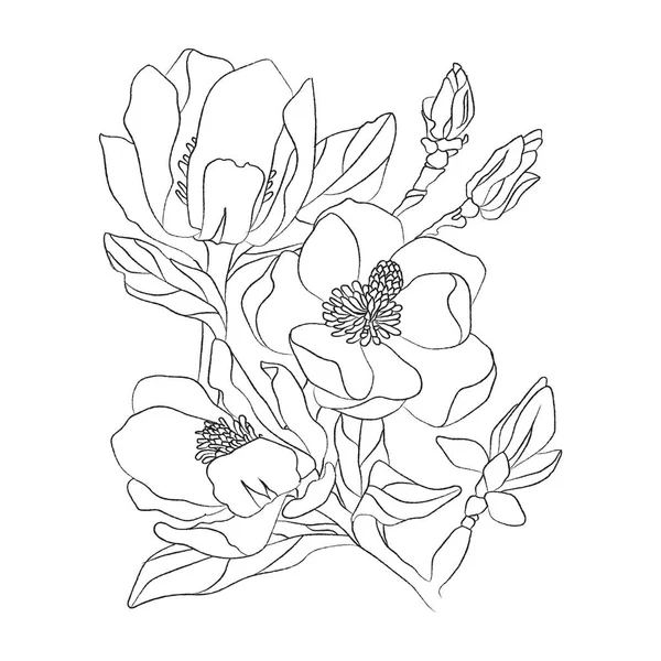 Blommor teckning med linje-konst på vit bakgrund. — Stock vektor