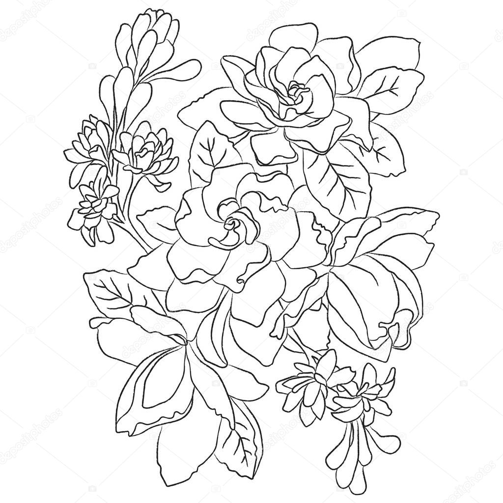 Flowers drawing with line-art on white backgrounds.