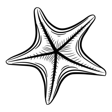 Denizyıldızı eli çizimi