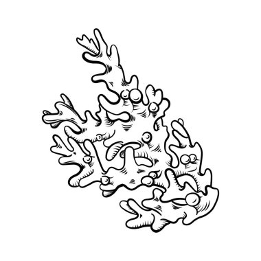 . Deniz kabukları, deniz tarakları, mavi arka planda serbest çizimler. Mercanlar, resif ekosistem faunası, yosunlar, laminarya oymalı dış hatlar.