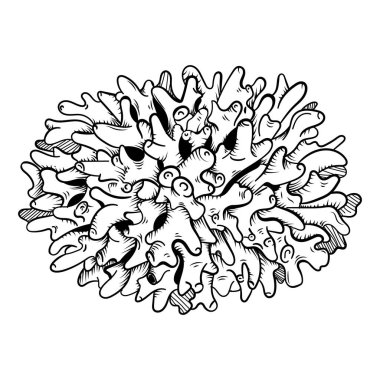 Mercanlar, resif ekosistem faunası, yosunlar, laminarya oymalı dış hatlar.