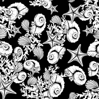 Okyanus kabuğu, mercan, denizyıldızı desenli arka plan.