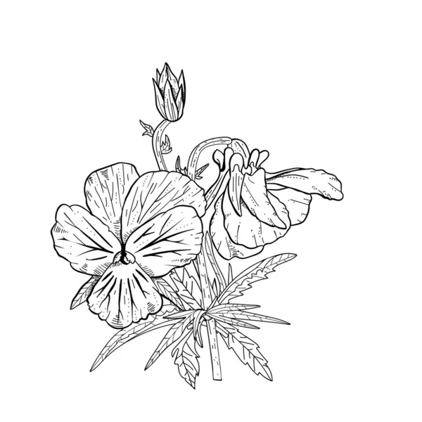 Handritade penstiga blommor clipart. — Stock vektor